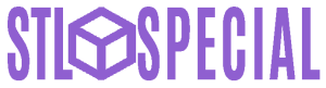 STLSpecial logo