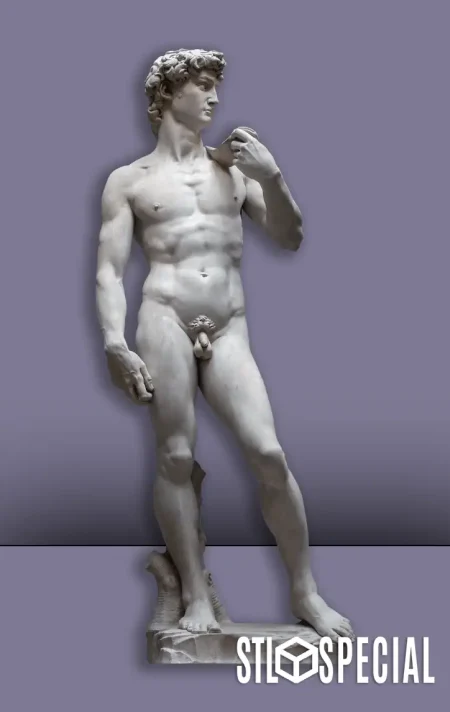 Michelangelo's David STL Special