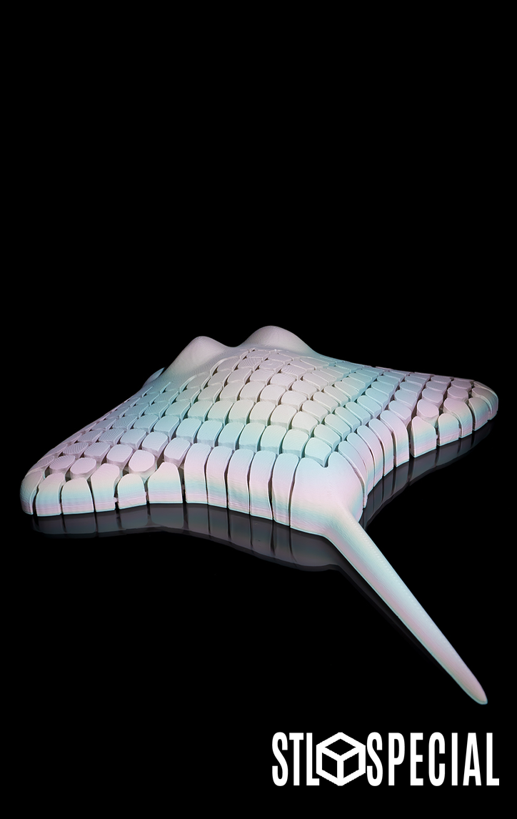 Ray, the Manta Ray 3D Print STL Files