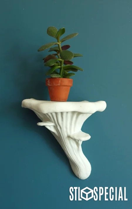 Mushroom Wall Shelf Holder - 3 Unique Models - STL Files